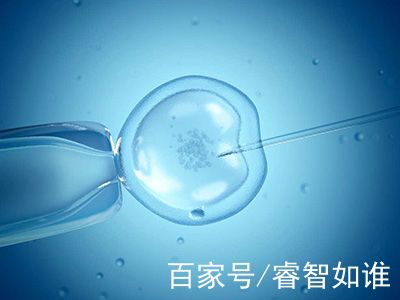 实验室环境